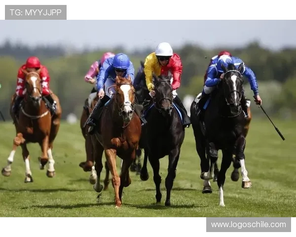 半岛体育在线直播提供的高清赛事直播服务让你零距离感受比赛激情